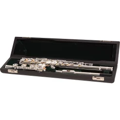 Wholesale ❤️ Pearl Flutes Pearl Flutes 525 Series Intermediate Flute Model 525RBE1RB - B Foot, Offset G With Split E 🛒