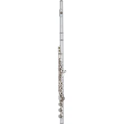 Brand new 🔔 Haynes Haynes Q4 Classic Sterling Silver Flute Offset G, B-Foot, 14K Gold Riser 🤩