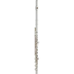 Brand new 🌟 Yamaha Yamaha YFL-462 Intermediate Flute Offset G B-Foot 🤩