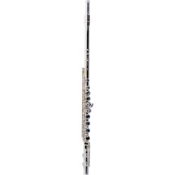 Best deal 😍 Giardinelli Giardinelli GFL-300 Silver-Plated Flute ✨