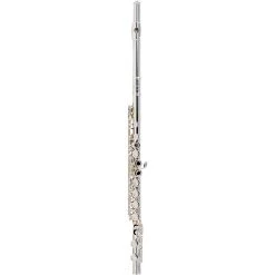 Cheapest 🎁 Allora Allora AFL-250 Student Series Flute Offset G C-Foot ⭐