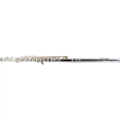 Buy ❤️ Etude Etude EFL-200 Student Series Flute 🧨