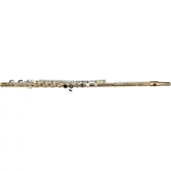Buy ⌛ DI ZHAO DZ 201 Student Flute Offset G C-Foot 🔥