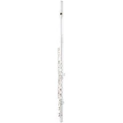 Best reviews of 😍 Selmer Selmer 300 Series Student Flute Offset G C-Foot ⭐